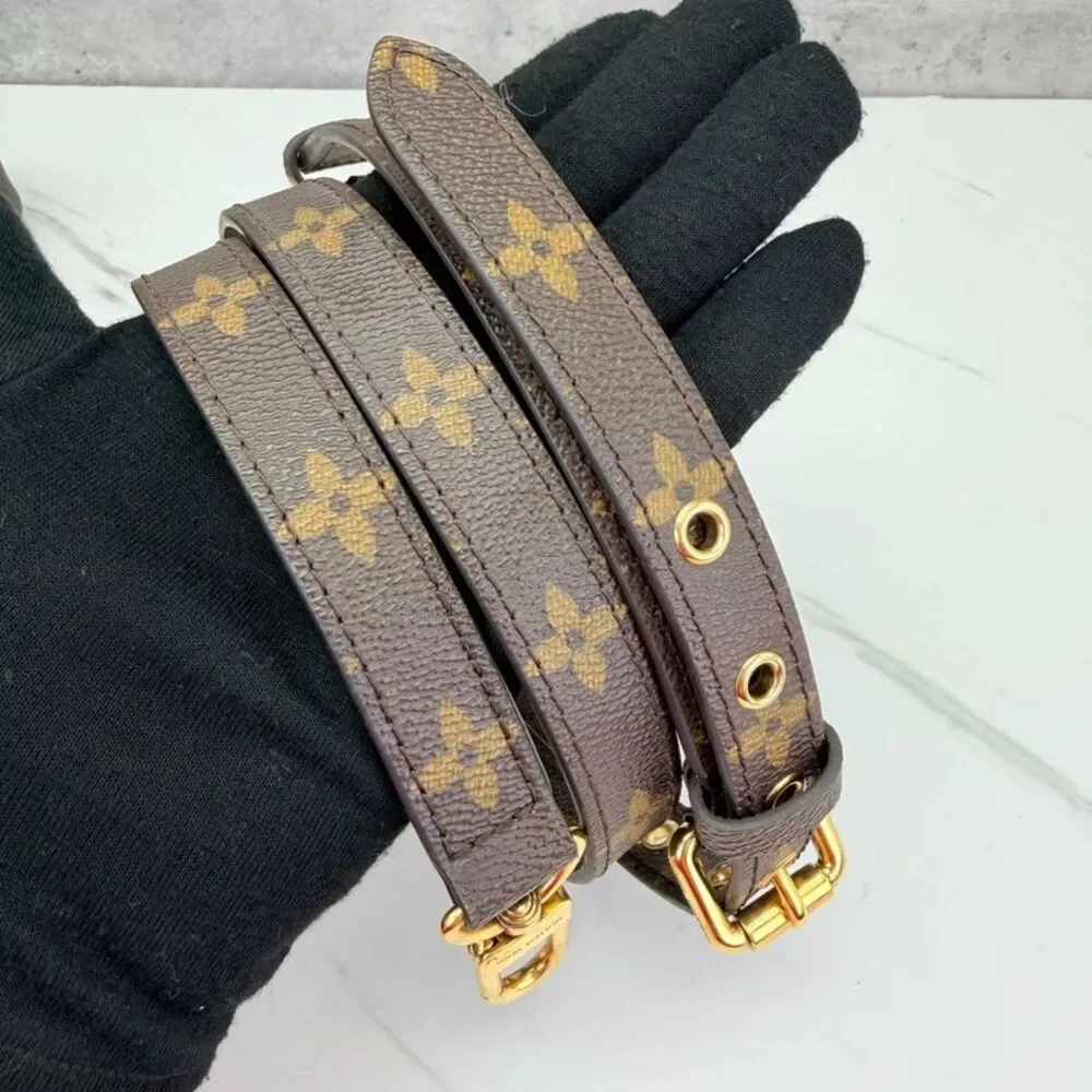 Louis Vuitton brand louis
